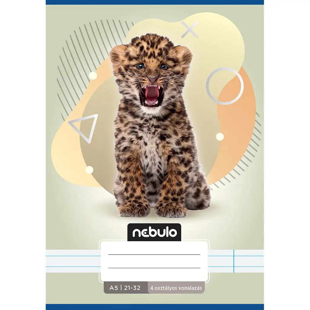 Nebulo: Leo-Muster 4. Klasse liniertes Heft A/5 21-32