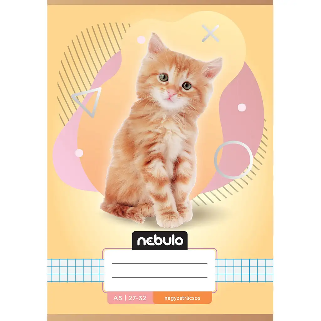 Nebulo: Kariertes Heft mit Katzenmuster A/5 27-32
