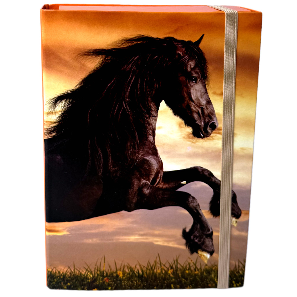 Nebulo: Heftbox A/5 Größe Schwarzes Pferd