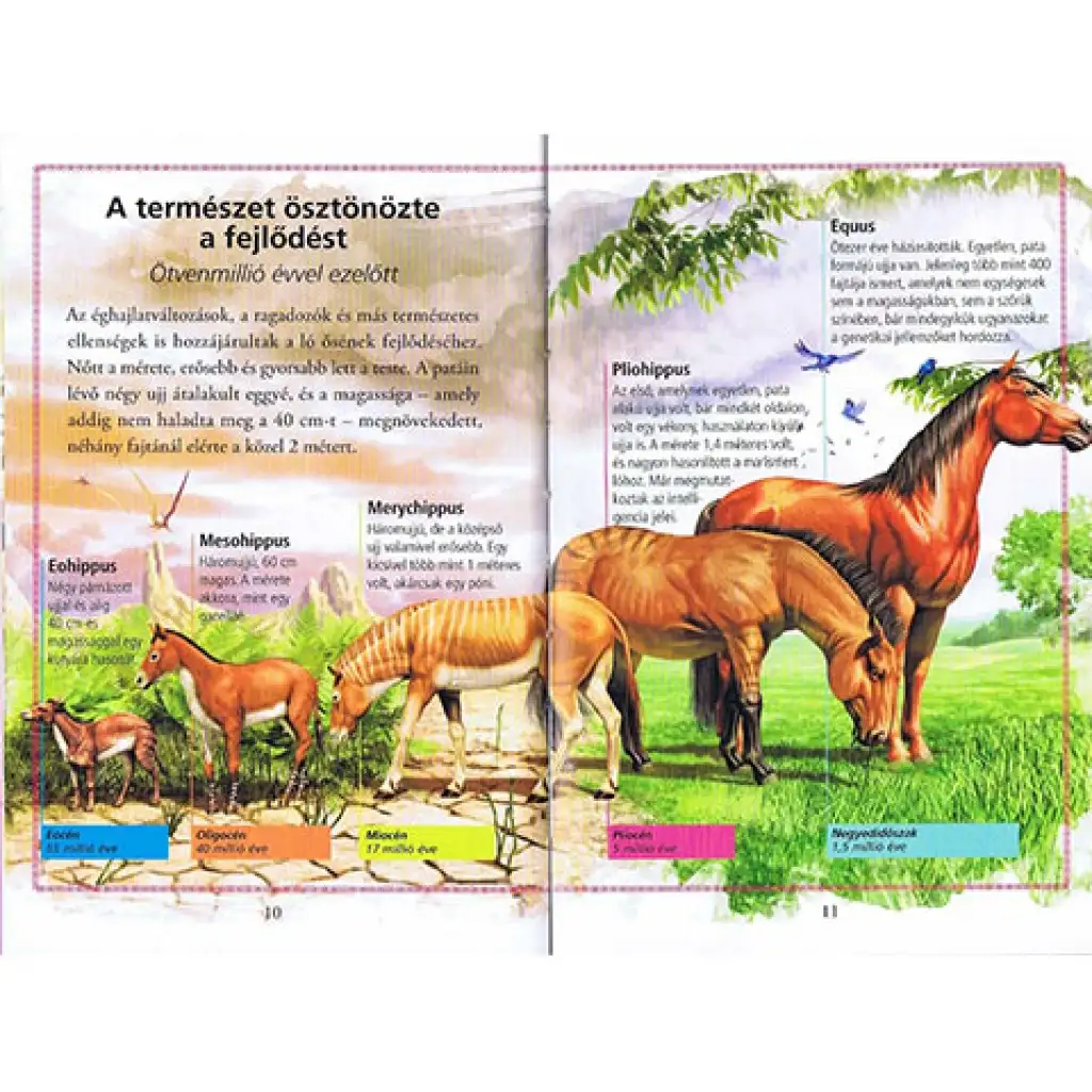 Lies mit uns! (3) - Die Geschichte der Pferde Kinderbuch kép 3