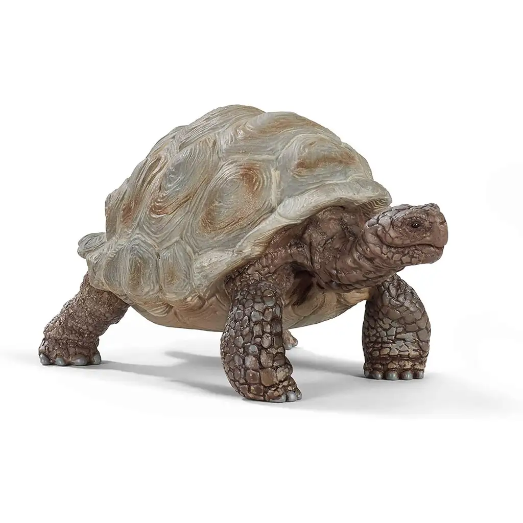 Schleich: Riesenschildkröten-Figur (14824)