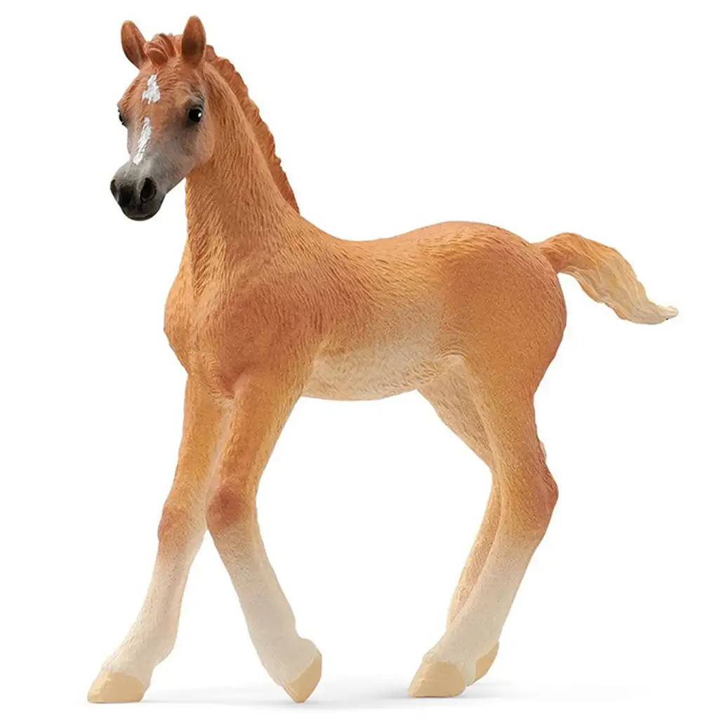 Schleich: Araber Fohlen Figur (13984)