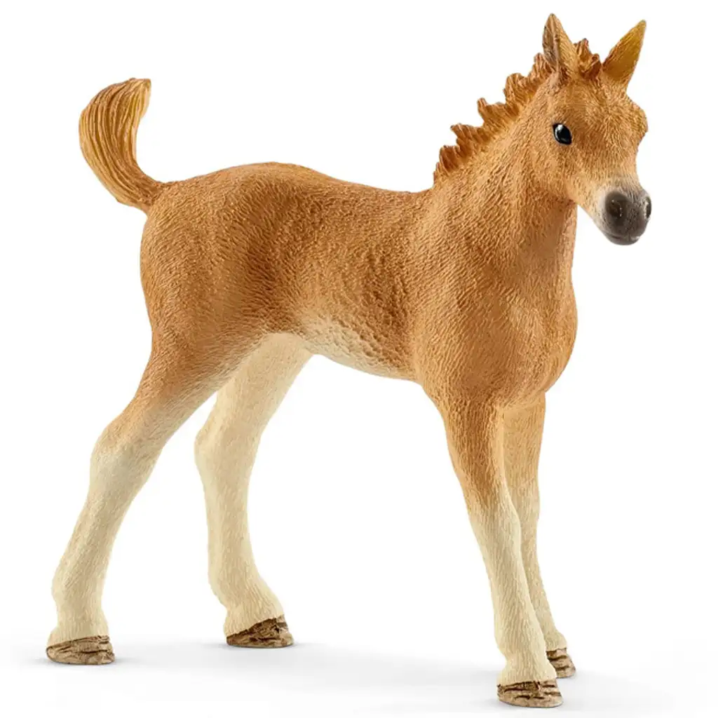 Schleich: Horse Club - Sarahs kleine Tierpflegeset (42432) kép 3