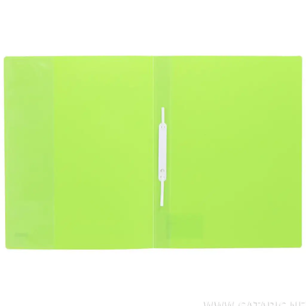 Spirit: Ringbuch mit Kartenhalter in Limettengrün A4 kép 2