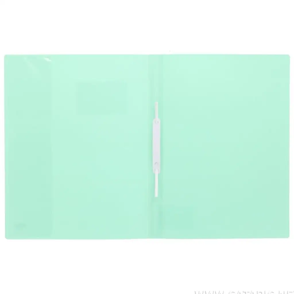 Spirit: Ringbuch mit Kartenhalter in Pastellgrün A4 kép 2