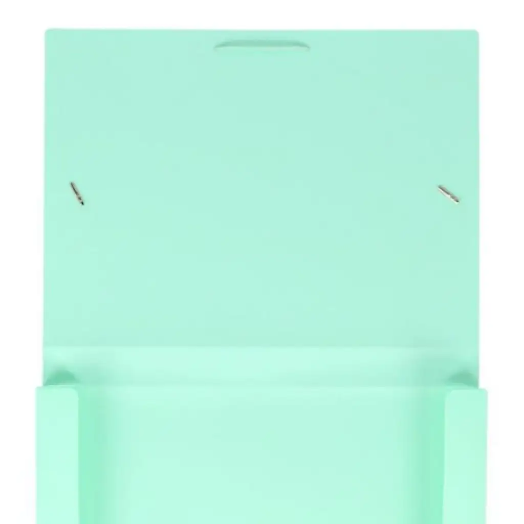 Spirit: Pastellgrüner Gummizug-Ordner A4 mit 30mm Dicke kép 2