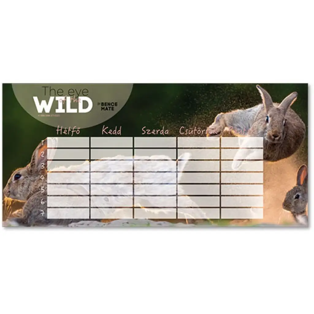 Ars Una: Der Stundenplan "The Eye of the Wild" mit Häschen, beidseitig bedruckt