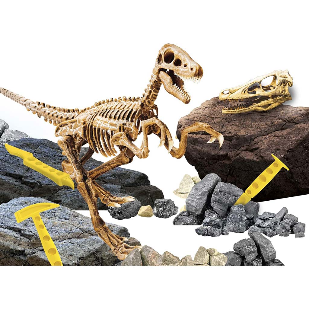 I’m Genius Velociraptor Archäologie-Set – Lisciani kép 3