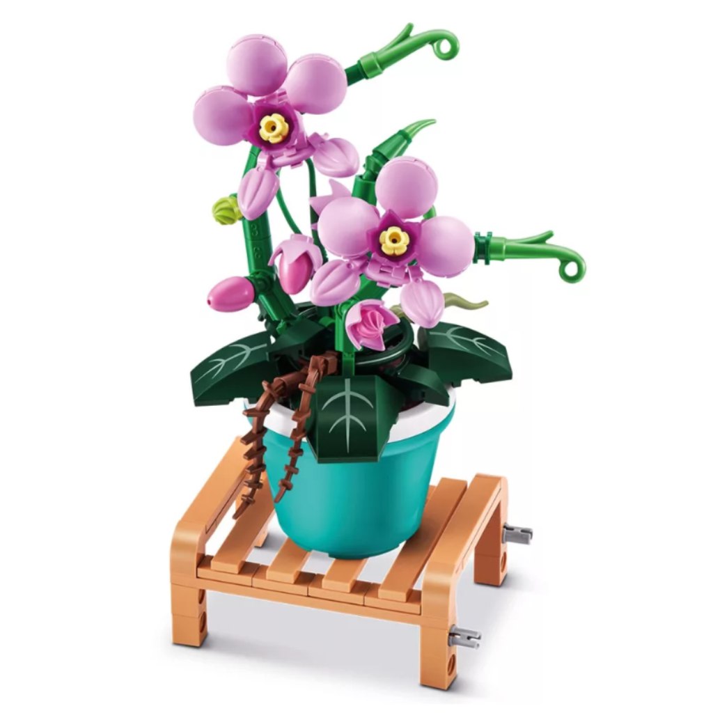 MAX Premium Topfpflanze Serie 1 in mehreren Varianten kép 4