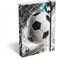 ICO: Lizzysuli Top League FTW füzetbox A/4