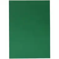 Spirit: Dekorációs kartonpapír lap zöld színben 70x100cm